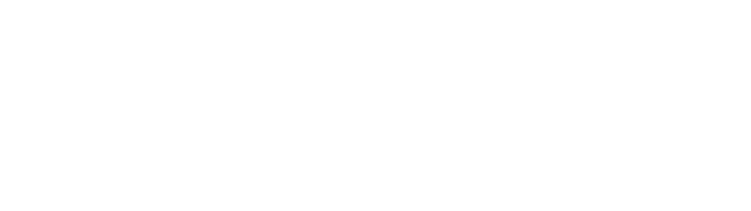 bsn-logo